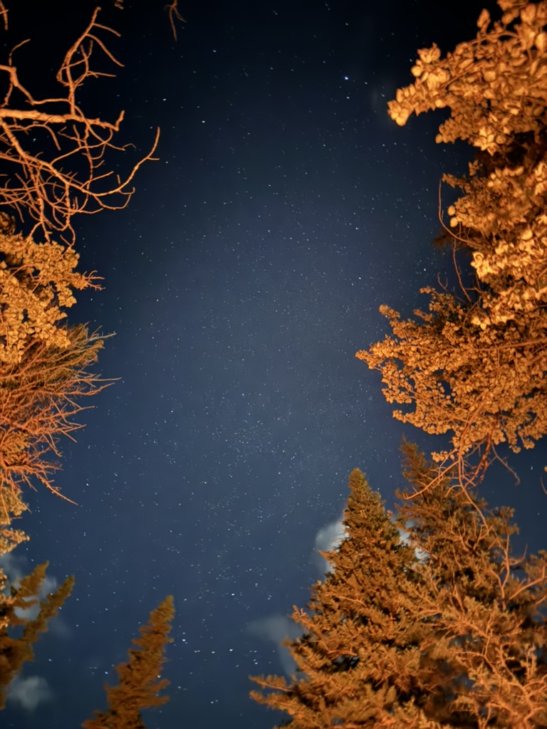 Stargazing in Montana.